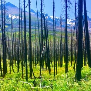 Meet your Posher, Ashtyn